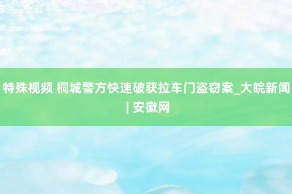 特殊视频 桐城警方快速破获拉车门盗窃案_大皖新闻 | 安徽网