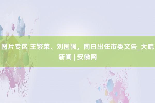 图片专区 王繁荣、刘国强，同日出任市委文告_大皖新闻 | 安徽网