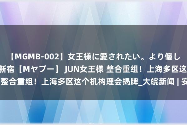 【MGMB-002】女王様に愛されたい。より優しく、よりいやらしく。 新宿［Mヤプー］ JUN女王様 整合重组！上海多区这个机构理会揭牌_大皖新闻 | 安徽网