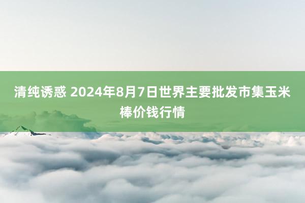 清纯诱惑 2024年8月7日世界主要批发市集玉米棒价钱行情