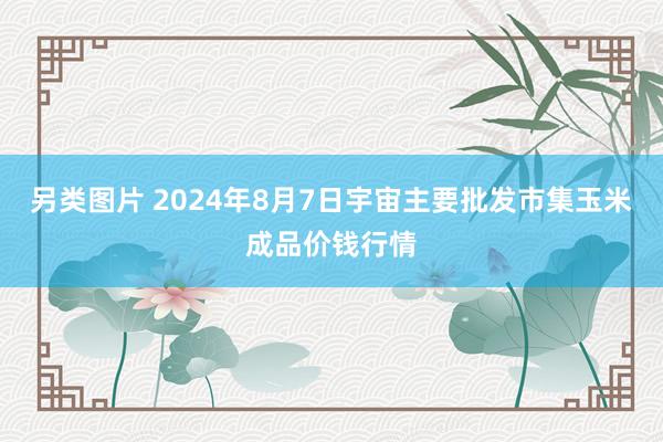 另类图片 2024年8月7日宇宙主要批发市集玉米成品价钱行情