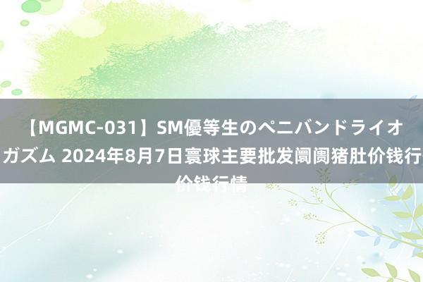 【MGMC-031】SM優等生のペニバンドライオーガズム 2024年8月7日寰球主要批发阛阓猪肚价钱行情