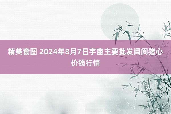 精美套图 2024年8月7日宇宙主要批发阛阓猪心价钱行情