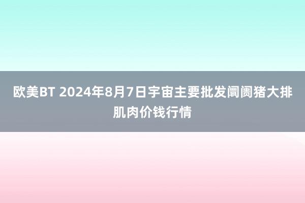 欧美BT 2024年8月7日宇宙主要批发阛阓猪大排肌肉价钱行情