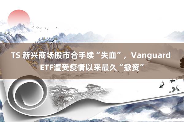 TS 新兴商场股市合手续“失血”，Vanguard ETF遭受疫情以来最久“撤资”