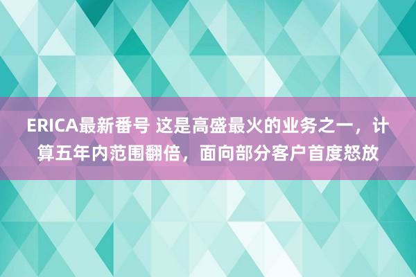 ERICA最新番号 这是高盛最火的业务之一，计算五年内范围翻倍，面向部分客户首度怒放