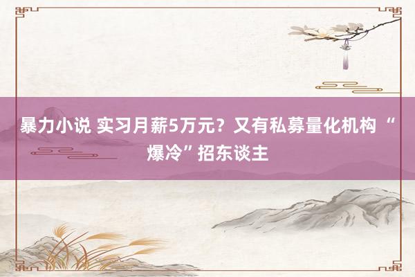 暴力小说 实习月薪5万元？又有私募量化机构 “爆冷”招东谈主