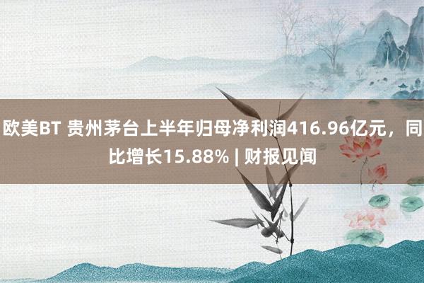 欧美BT 贵州茅台上半年归母净利润416.96亿元，同比增长15.88% | 财报见闻