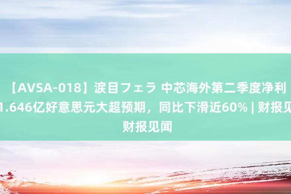 【AVSA-018】涙目フェラ 中芯海外第二季度净利润1.646亿好意思元大超预期，同比下滑近60% | 财报见闻