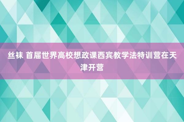 丝袜 首届世界高校想政课西宾教学法特训营在天津开营