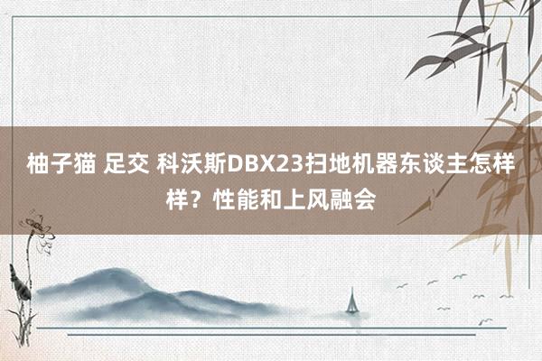 柚子猫 足交 科沃斯DBX23扫地机器东谈主怎样样？性能和上风融会