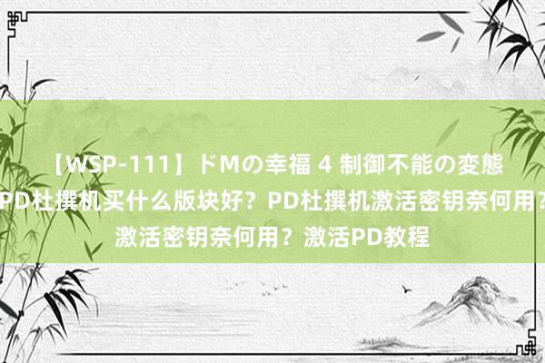 【WSP-111】ドMの幸福 4 制御不能の変態ボディ4時間 PD杜撰机买什么版块好？PD杜撰机激活密钥奈何用？激活PD教程