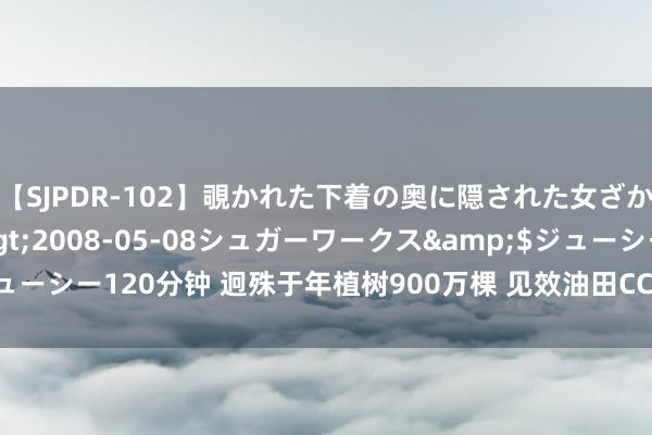 【SJPDR-102】覗かれた下着の奥に隠された女ざかりのエロス</a>2008-05-08シュガーワークス&$ジューシー120分钟 迥殊于年植树900万棵 见效油田CCUS技俩吃“碳”又吐“油”