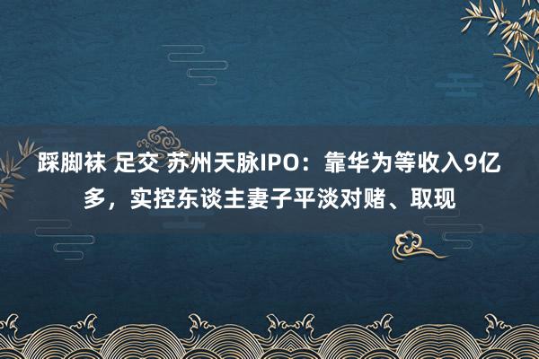 踩脚袜 足交 苏州天脉IPO：靠华为等收入9亿多，实控东谈主妻子平淡对赌、取现