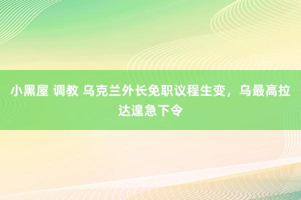 小黑屋 调教 乌克兰外长免职议程生变，乌最高拉达遑急下令