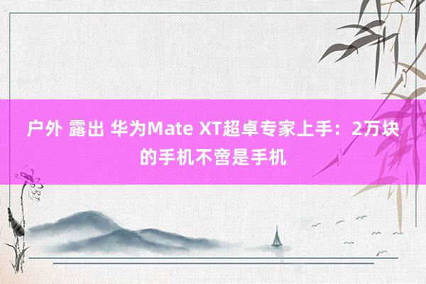 户外 露出 华为Mate XT超卓专家上手：2万块的手机不啻是手机